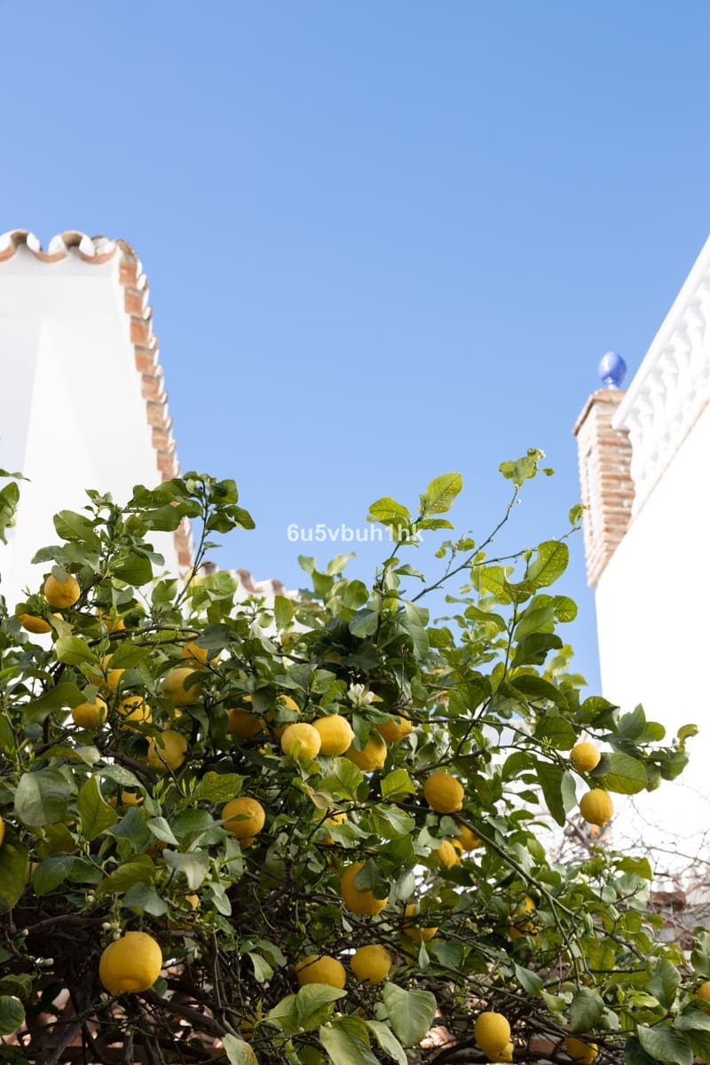 4 soveværelse Villa til salg i Mijas med garage - € 995.000 (Ref: 9480521)