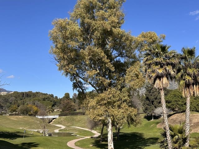 4 sypialnia Dom na sprzedaż w Aloha Golf, Marbella z basenem - 905 000 € (Ref: 9491596)