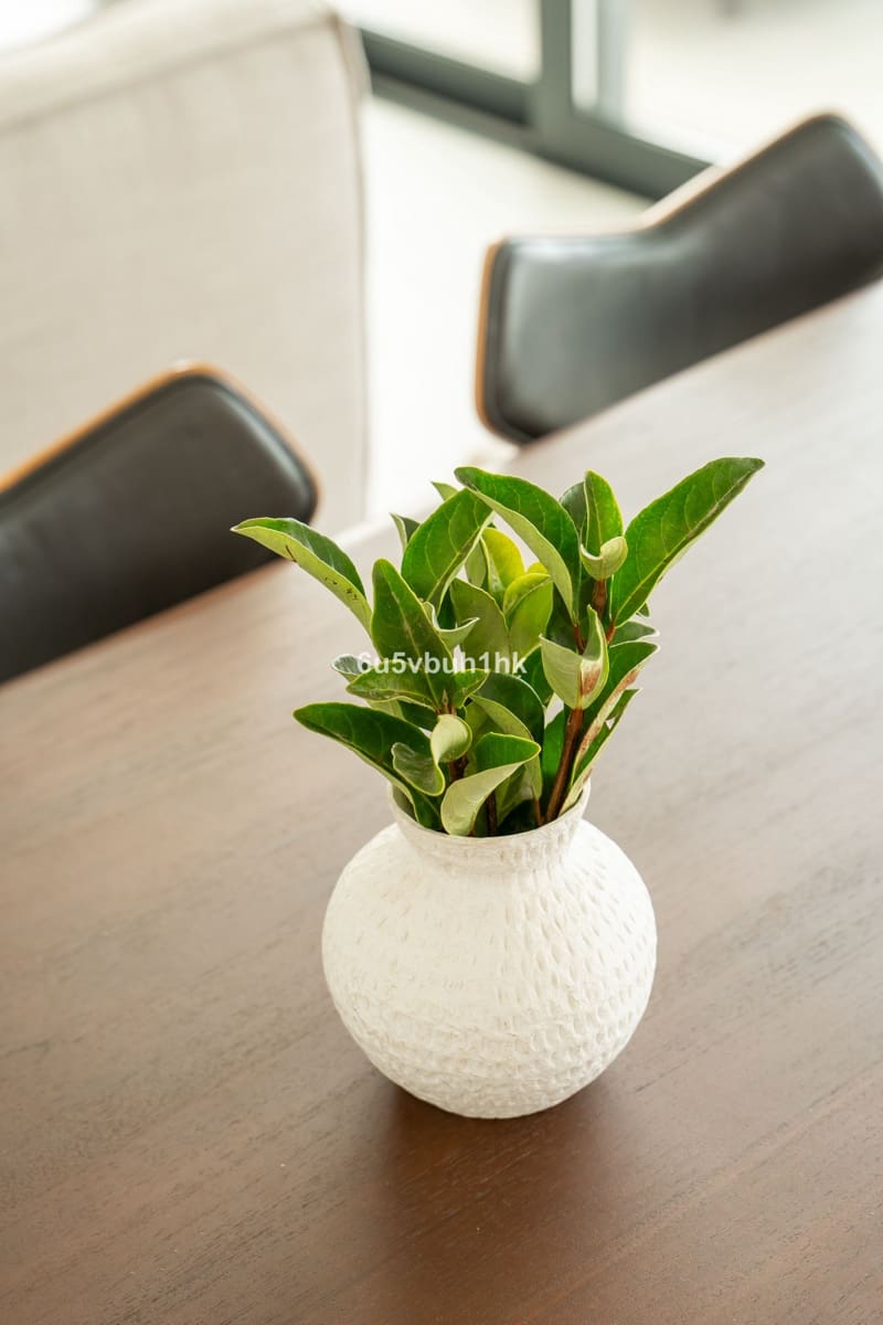 3 soveværelse Lejlighed til salg i Fuengirola med swimmingpool garage - € 795.000 (Ref: 9539985)