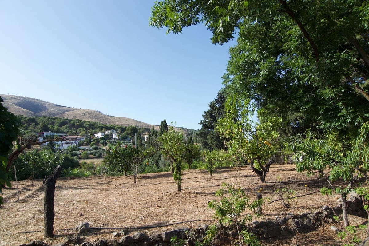 5 quarto Moradia para venda em Alhaurin el Grande com piscina garagem - 795 000 € (Ref: 9539990)