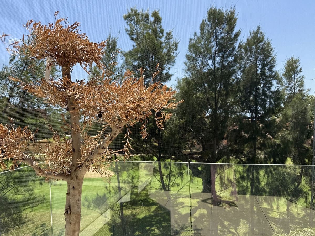 3 makuuhuone Kattohuoneisto myytävänä paikassa Cabopino mukana uima-altaan - 918 000 € (Ref: 9540072)