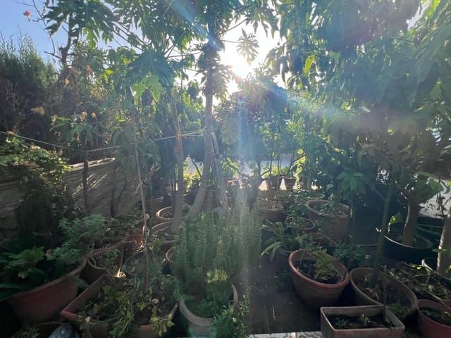 7 Zimmer Doppelhaus zu verkaufen in Centro, Estepona mit Garage - 922.500 € (Ref: 9540073)