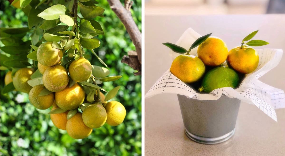 3 bedroom Semi-detached Villa for sale in La Cala de Mijas with pool - € 1,075,000 (Ref: 9540147)