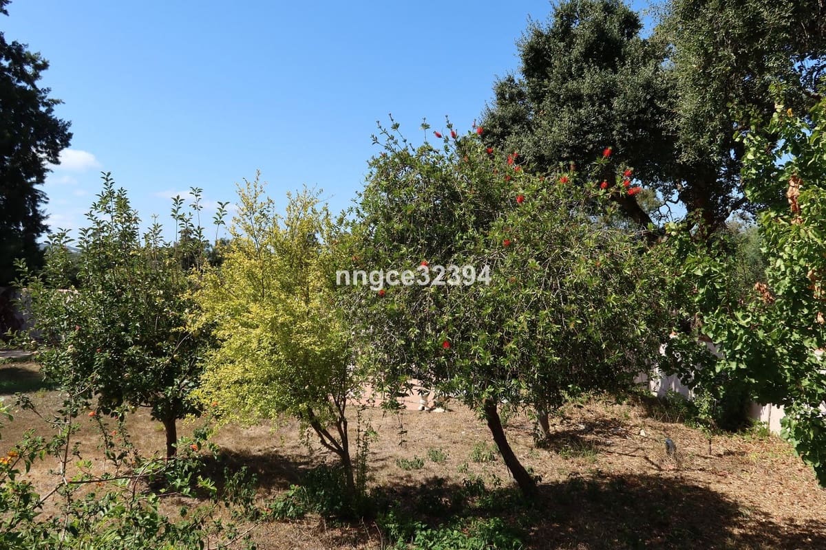 7 bedroom Villa for sale in Sotogrande with pool - € 999,000 (Ref: 9540268)