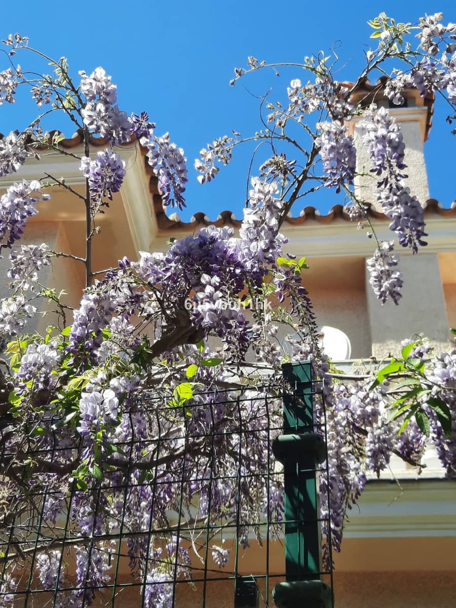 3 soverom Villa til salgs i Fuengirola med svømmebasseng - € 1 225 000 (Ref: 9540275)