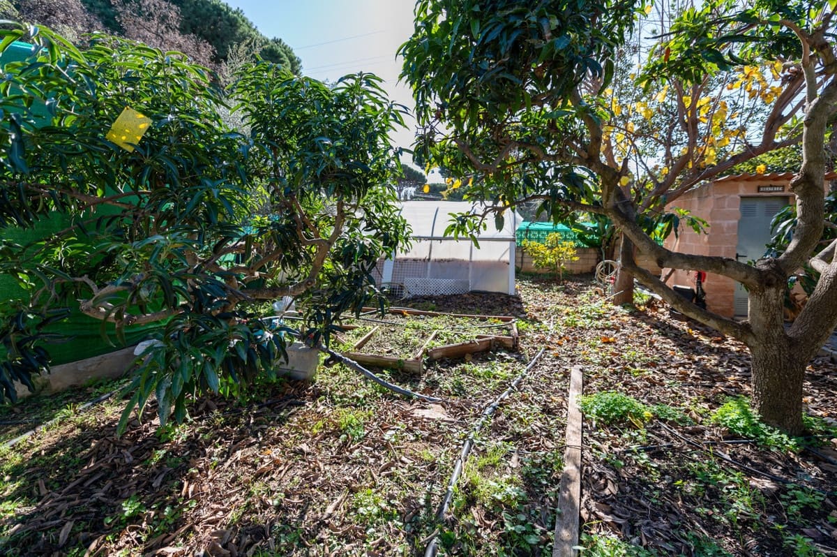 4 bedroom Villa for sale in Las Chapas with pool - € 1,300,000 (Ref: 9540336)