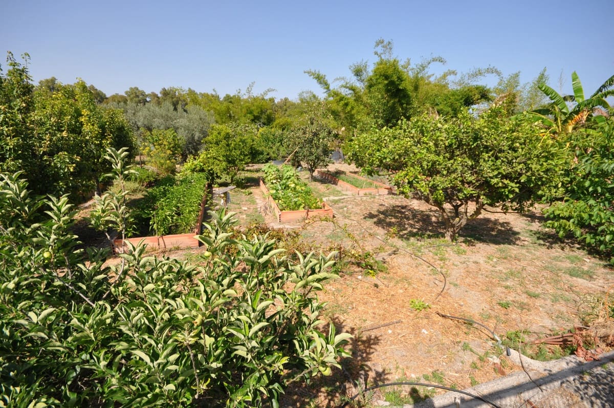 Chalet de 4 habitaciones en Bahia de Casares en venta con piscina - 1.350.000 € (Ref: 9540361)