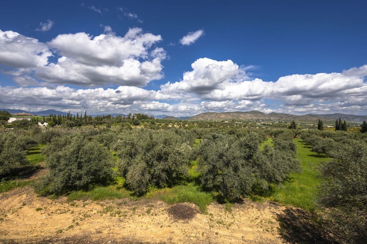 Finca/Casa Rural de 9 habitaciones en Alhaurín el Grande en venta con piscina - 1.150.000 € (Ref: 9540525)