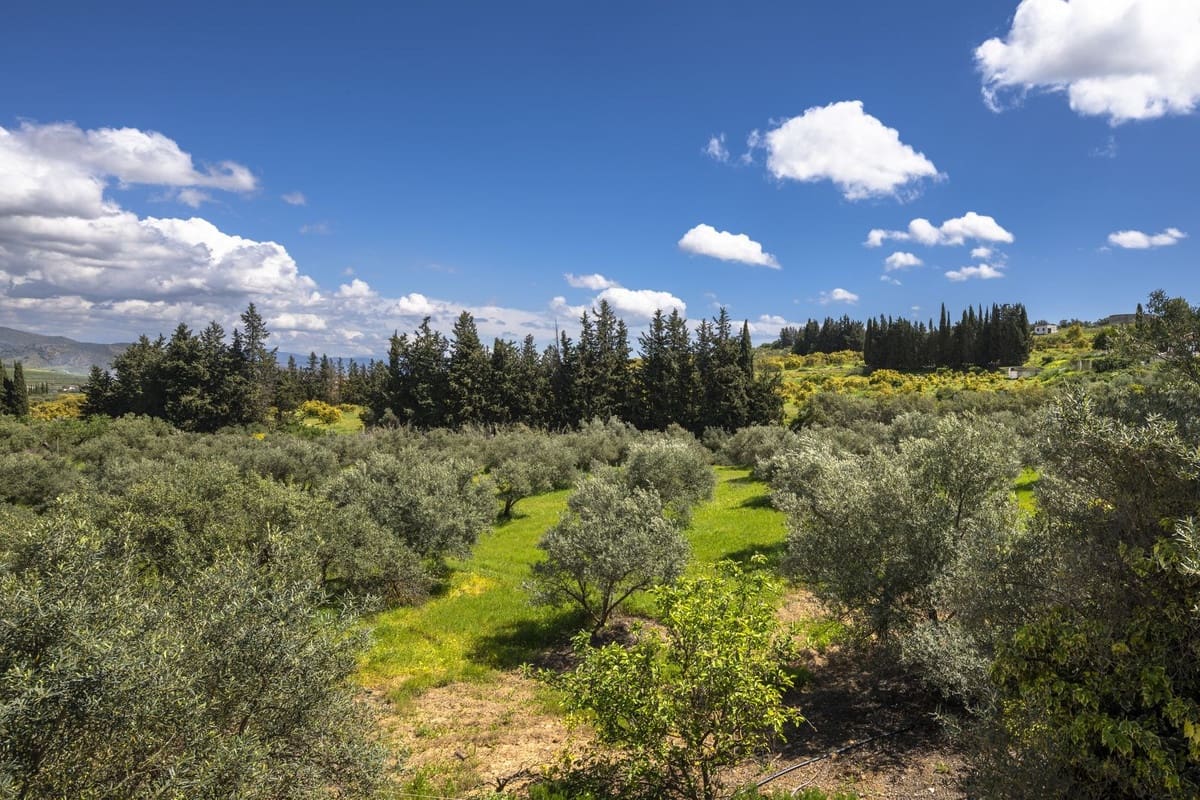 Finca/Casa Rural de 9 habitaciones en Alhaurín el Grande en venta con piscina - 1.150.000 € (Ref: 9540525)