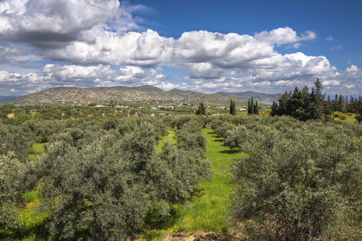 Finca/Casa Rural de 9 habitaciones en Alhaurín el Grande en venta con piscina - 1.150.000 € (Ref: 9540525)