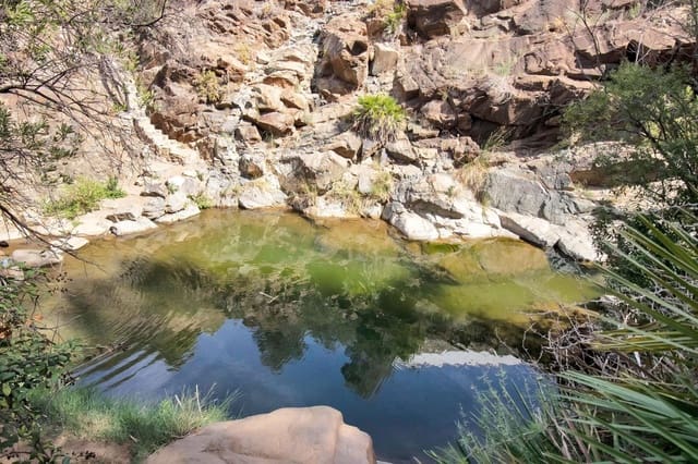 3 quarto Quinta/Casa Rural para venda em Ojen com piscina - 1 198 000 € (Ref: 9540532)