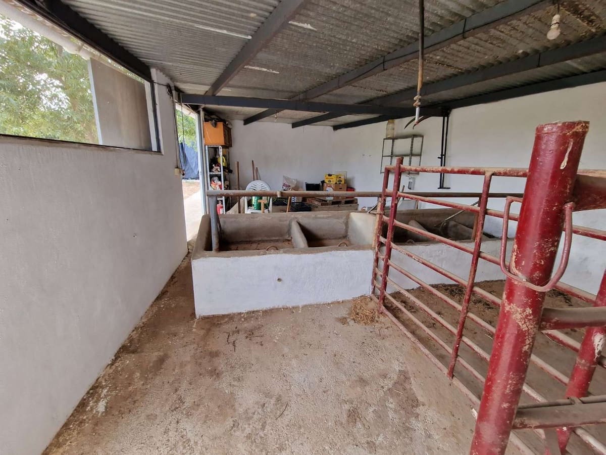 7 sypialnia Finka/Dom wiejski na sprzedaż w Alhaurin de la Torre z garażem - 1 270 000 € (Ref: 9540538)