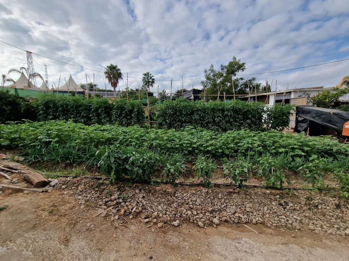 7 sypialnia Finka/Dom wiejski na sprzedaż w Alhaurin de la Torre z garażem - 1 270 000 € (Ref: 9540538)