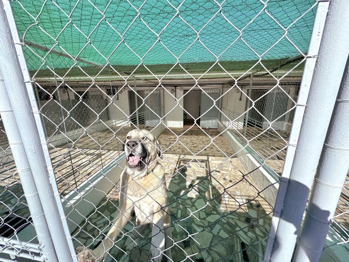 5 slaapkamer Finca/Landhuis te koop in Mijas - € 1.395.000 (Ref: 9540549)