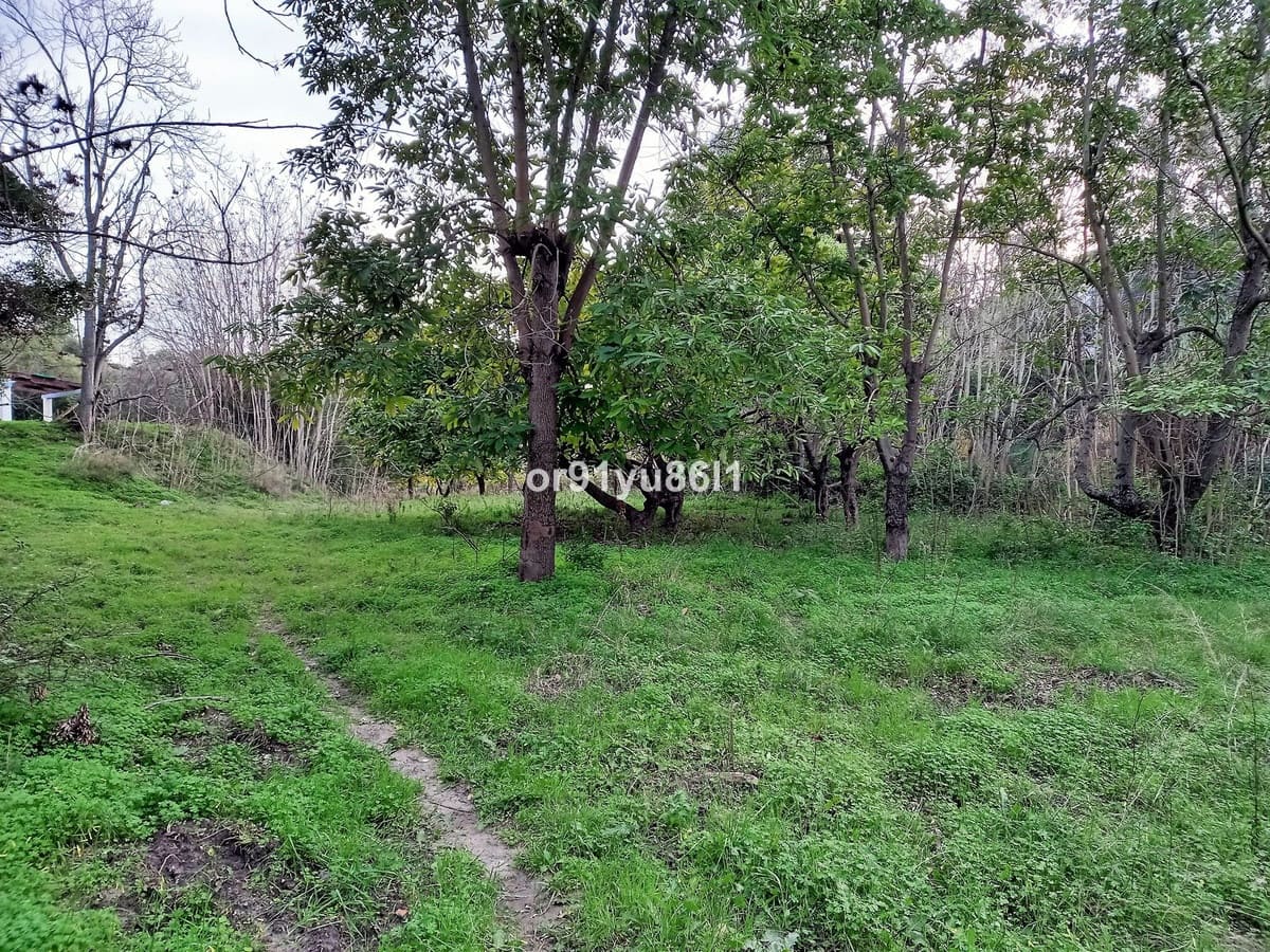 5 quarto Quinta/Casa Rural para venda em Casares - 1 400 000 € (Ref: 9540553)