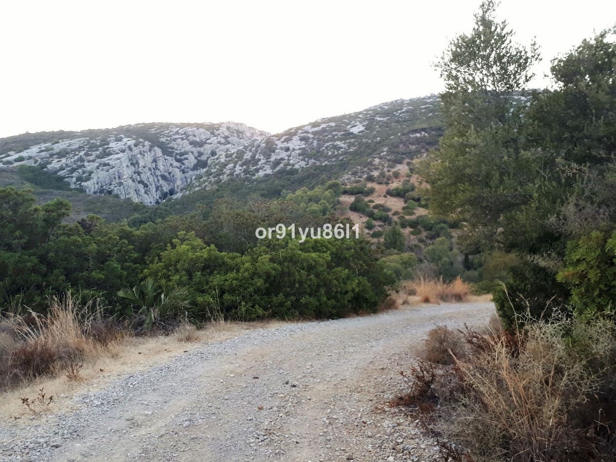 5 bedroom Finca/Country House for sale in Casares - € 1,400,000 (Ref: 9540553)