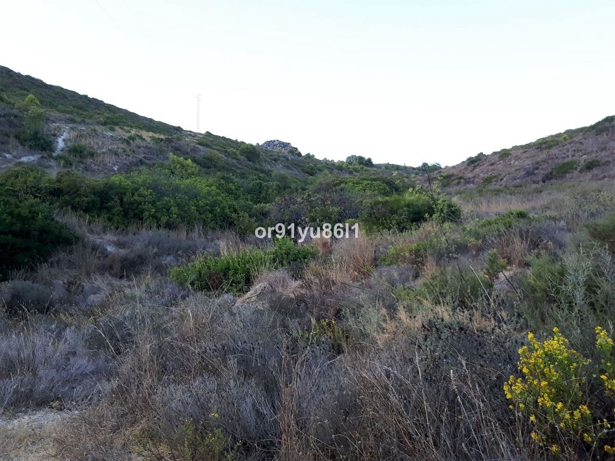 5 bedroom Finca/Country House for sale in Casares - € 1,400,000 (Ref: 9540553)