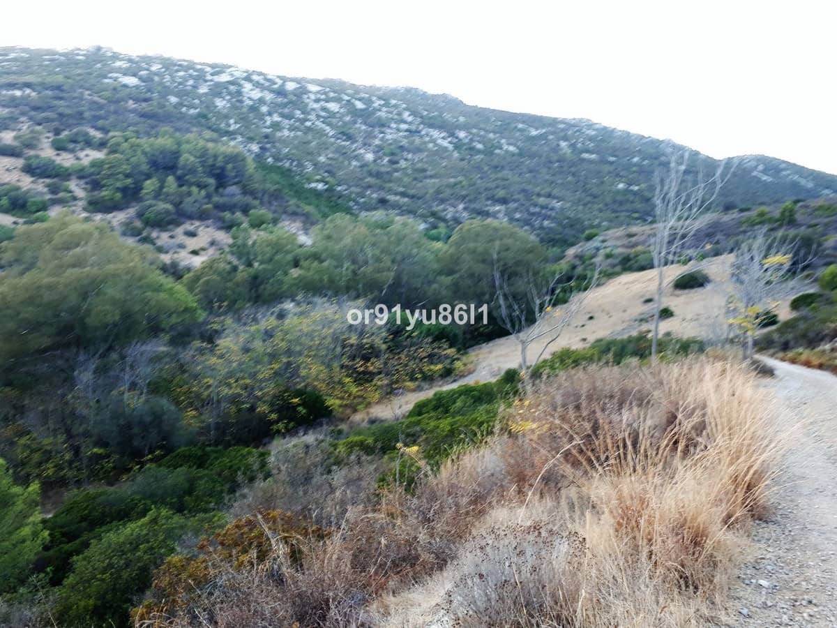 5 bedroom Finca/Country House for sale in Casares - € 1,400,000 (Ref: 9540553)