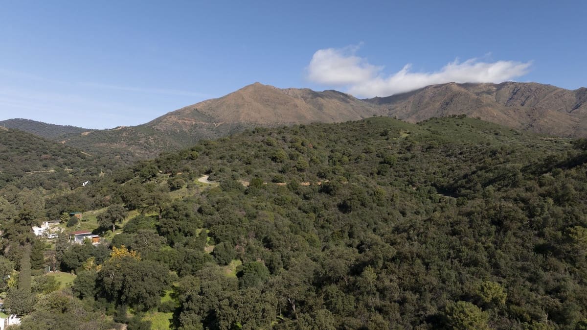 4 chambre Finca/Maison de Campagne à vendre à Casares - 1 450 000 € (Ref: 9540556)