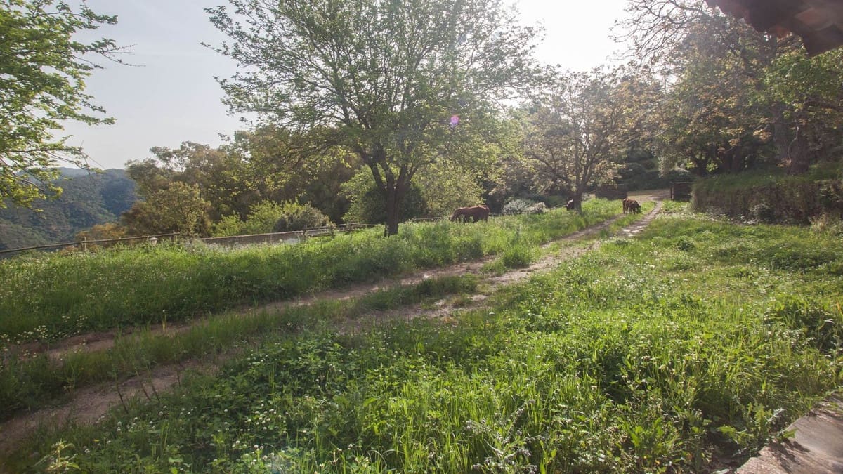 3 bedroom Finca/Country House for sale in Gaucin - € 1,500,000 (Ref: 9540561)