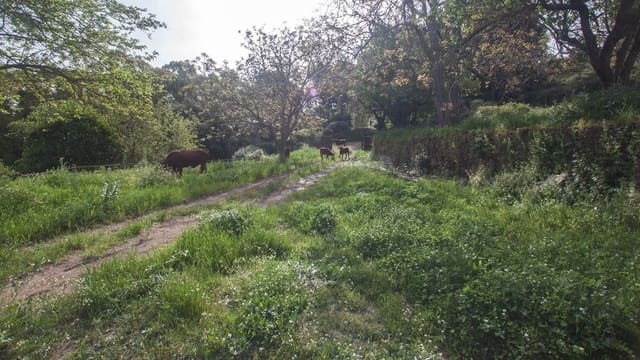 3 camera da letto Finca/Casa di Campagna in vendita in Gaucín - 1.500.000 € (Rif: 9540561)