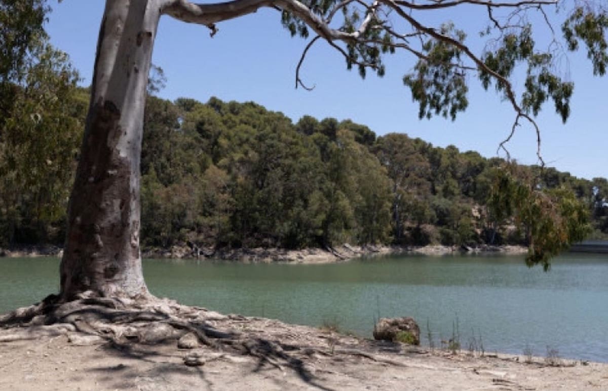 Apartamento de 2 habitaciones en Nueva Andalucia en venta con piscina garaje - 515.000 € (Ref: 9598496)