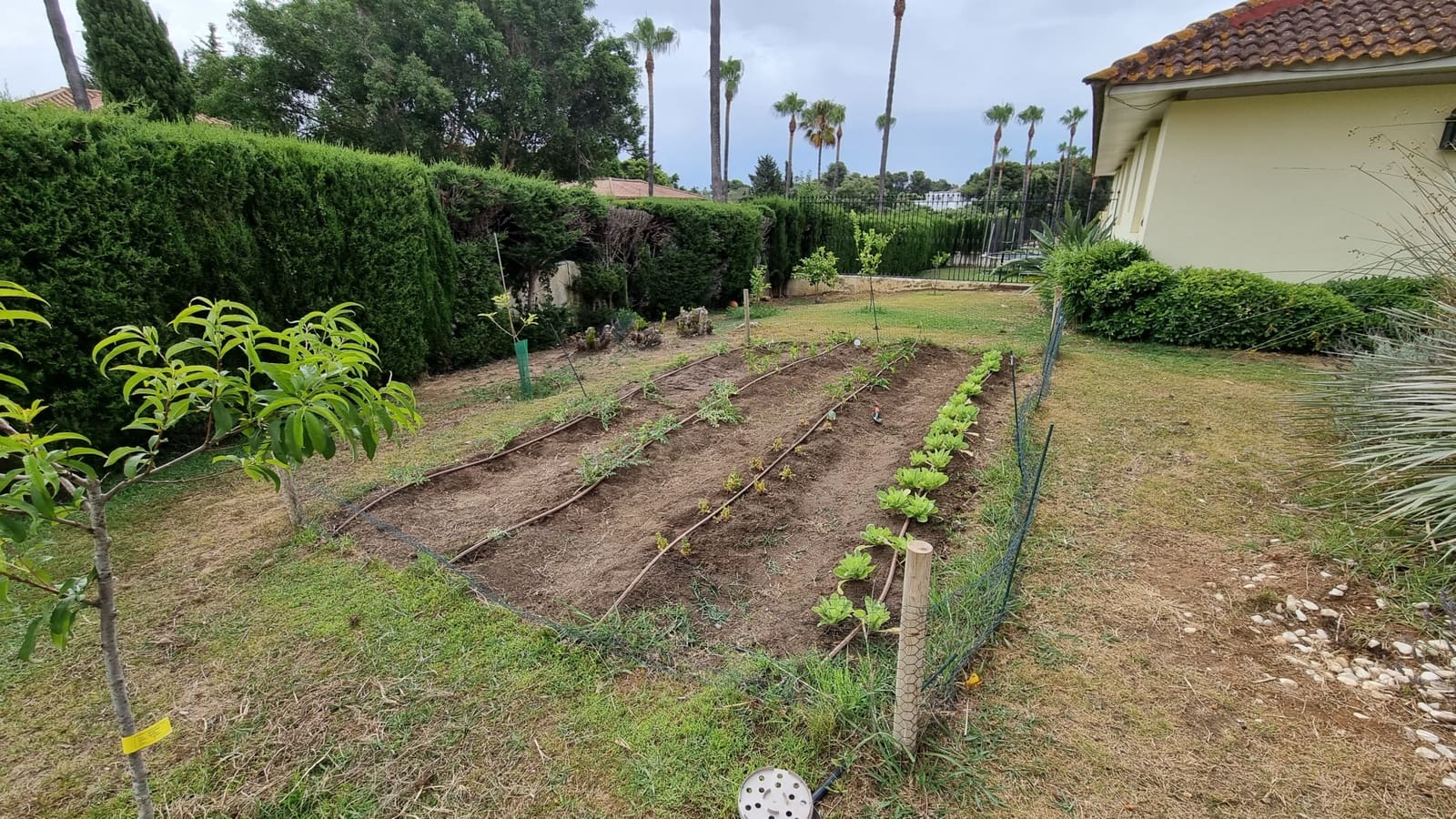 7 quarto Moradia para venda em Sotogrande com piscina - 1 190 000 € (Ref: 9663916)