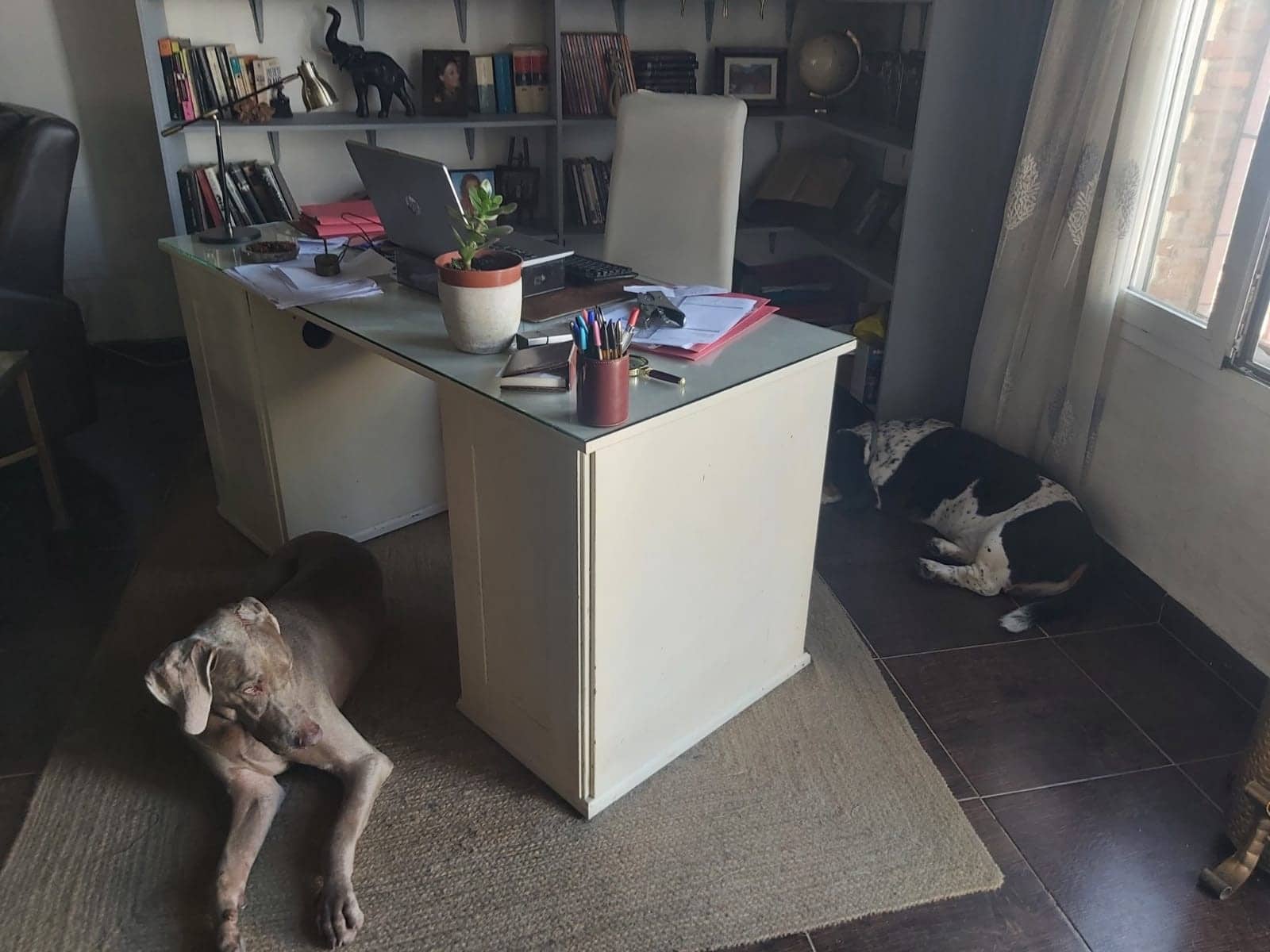 4 sypialnia Willa na sprzedaż w Campamento z basenem - 615 000 € (Ref: 9663932)