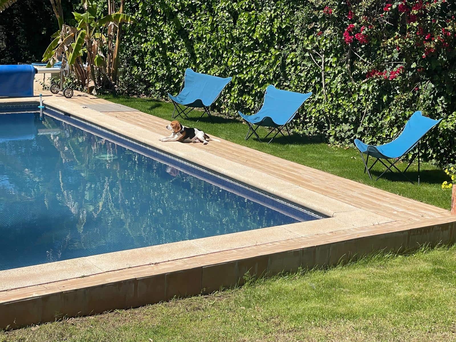 4 chambre Villa/Maison à vendre à Sotogrande avec piscine - 1 190 000 € (Ref: 9670415)