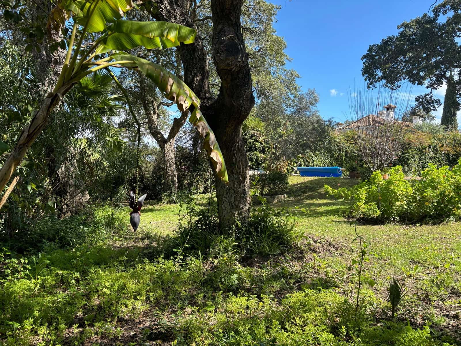 4 chambre Villa/Maison à vendre à Sotogrande avec piscine - 1 190 000 € (Ref: 9670415)