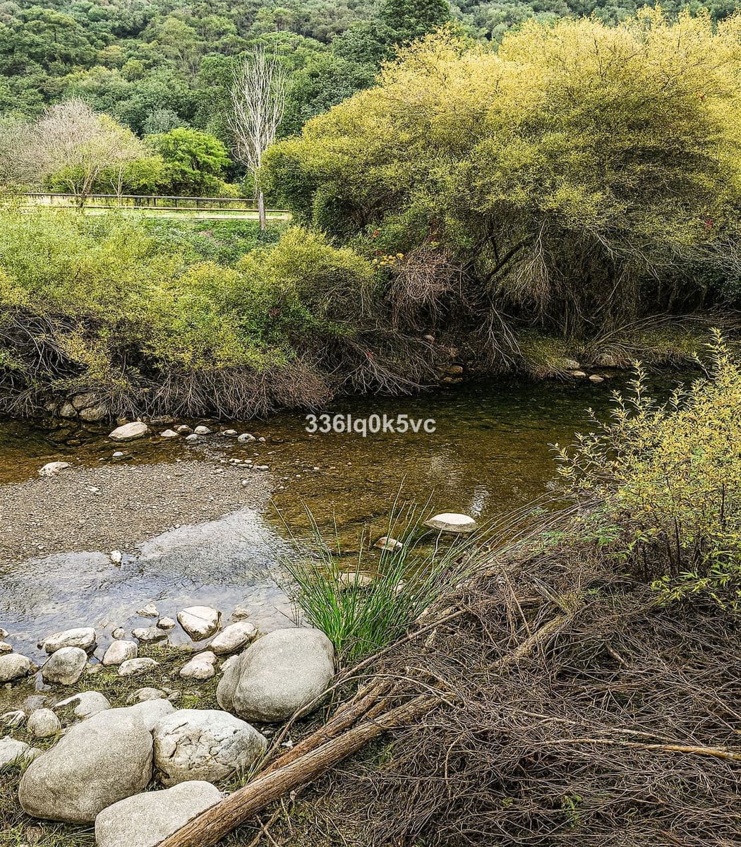 5 bedroom Villa for sale in Benahavis with pool garage - € 880,000 (Ref: 9670478)