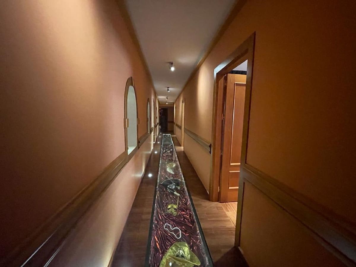 Hotel de 16 habitaciones en Alhaurín el Grande en venta con piscina - 3.175.000 € (Ref: 9677342)