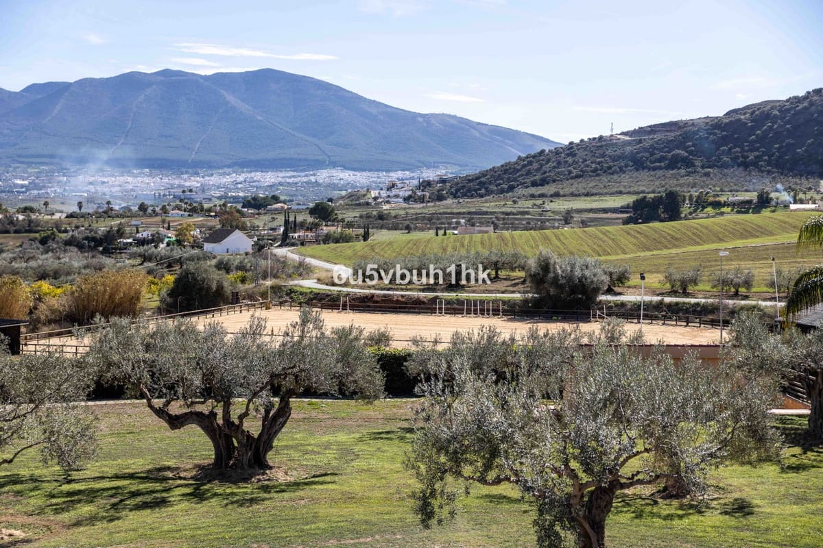 Finca/Casa Rural de 4 habitaciones en Alhaurín el Grande en venta con piscina - 999.000 € (Ref: 9677358)
