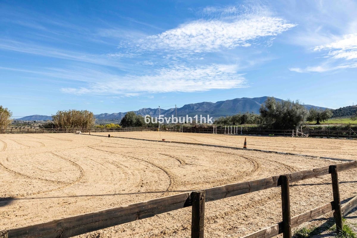 Finca/Casa Rural de 4 habitaciones en Alhaurín el Grande en venta con piscina - 999.000 € (Ref: 9677358)