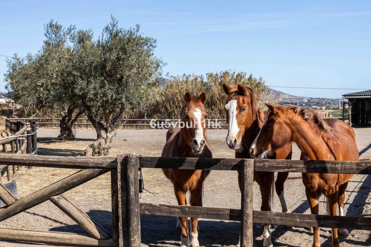 Finca/Casa Rural de 4 habitaciones en Alhaurín el Grande en venta con piscina - 999.000 € (Ref: 9677358)