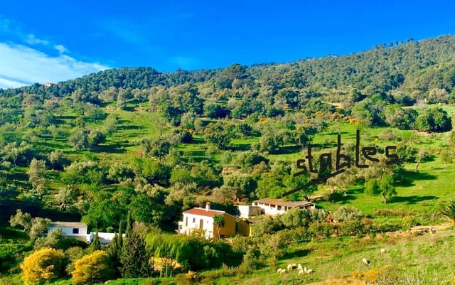 5 bedroom Finca/Country House for sale in Gaucín with pool - € 850,000 (Ref: 9677361)