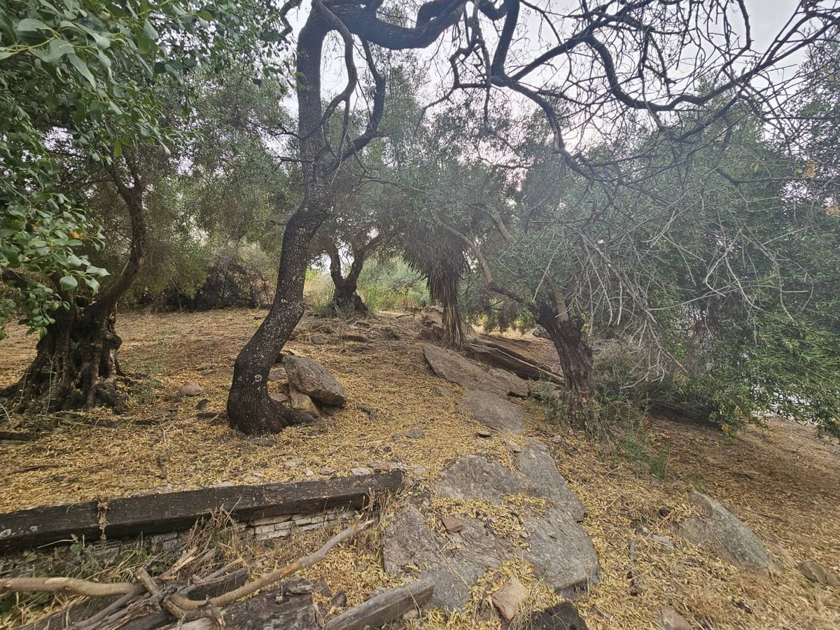 5 bedroom Finca/Country House for sale in Gaucin with pool - € 850,000 (Ref: 9677361)