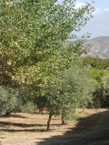 4 soverom Finca/Herregård til salgs i Alhaurín el Grande - € 765 000 (Ref: 9677362)