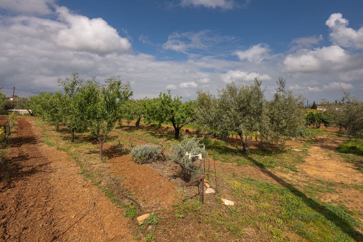 4 bedroom Finca/Country House for sale in Alhaurin el Grande with pool - € 765,000 (Ref: 9677362)
