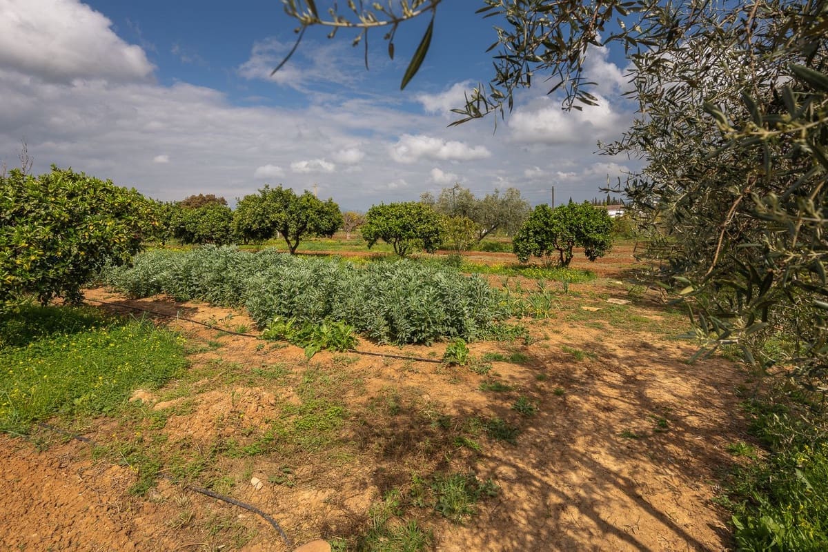 4 bedroom Finca/Country House for sale in Alhaurin el Grande with pool - € 765,000 (Ref: 9677362)