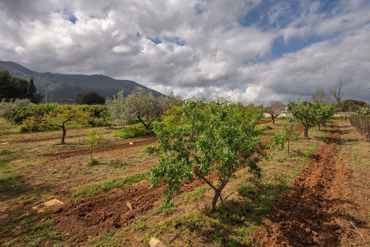 4 bedroom Finca/Country House for sale in Alhaurin el Grande with pool - € 765,000 (Ref: 9677362)
