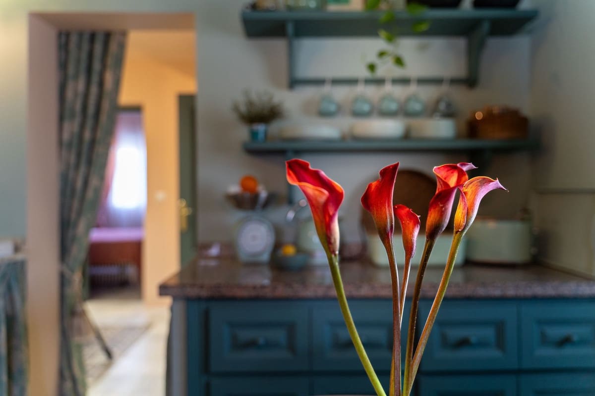 Casa de 4 habitaciones en San Pedro de Alcantara en venta con piscina - 590.000 € (Ref: 9701539)