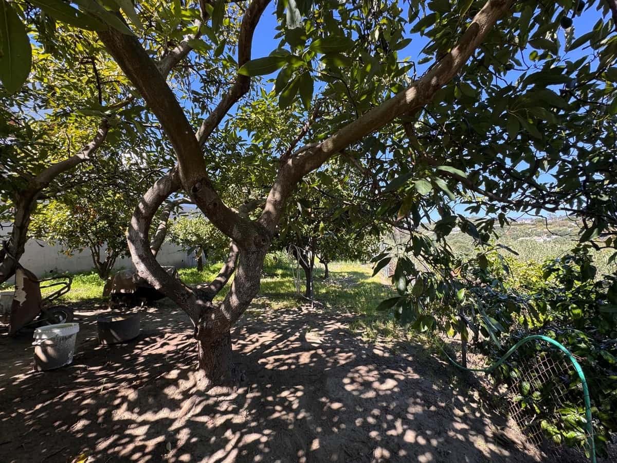 4 sypialnia Willa na sprzedaż w Estepona z basenem garażem - 1 800 000 € (Ref: 9701546)