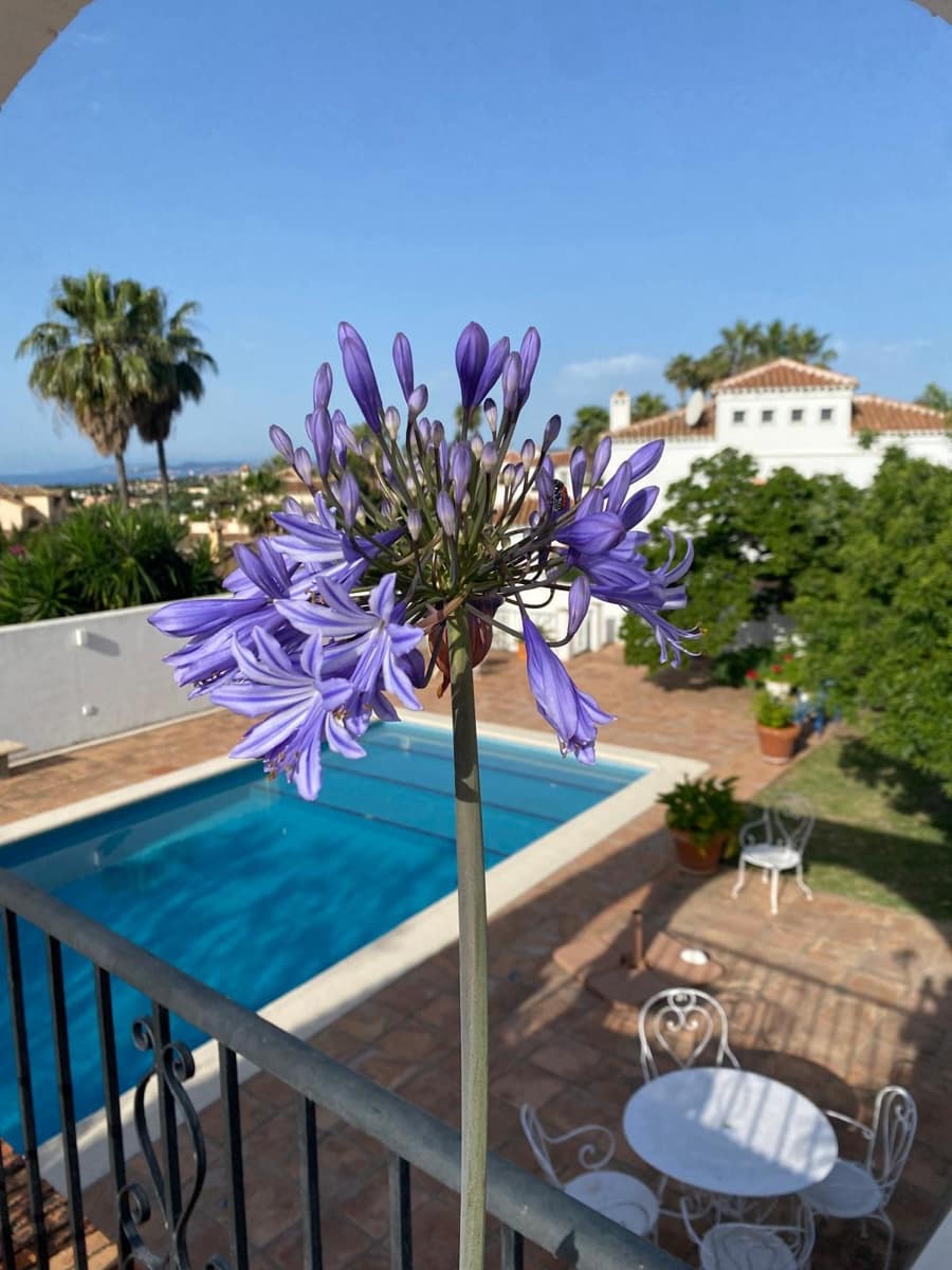 4 soverom Villa til salgs i Estepona med svømmebasseng - € 1 370 000 (Ref: 9705011)