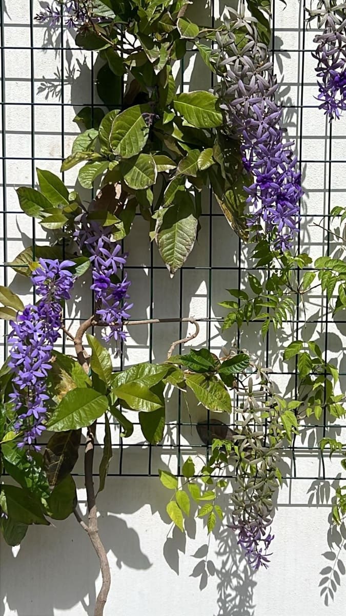 4 soverom Villa til salgs i Estepona med svømmebasseng - € 1 370 000 (Ref: 9705011)