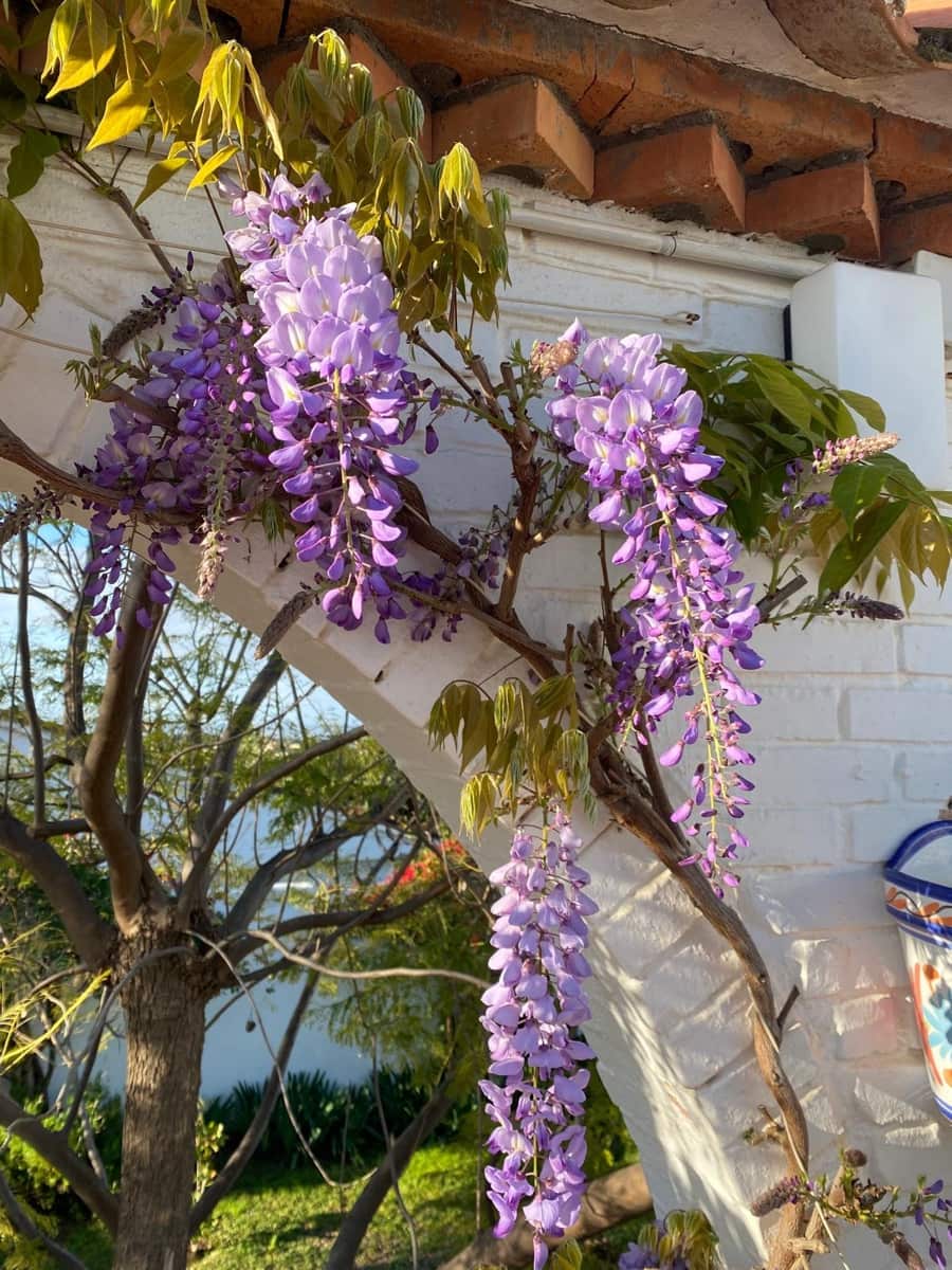 4 soverom Villa til salgs i Estepona med svømmebasseng - € 1 370 000 (Ref: 9705011)