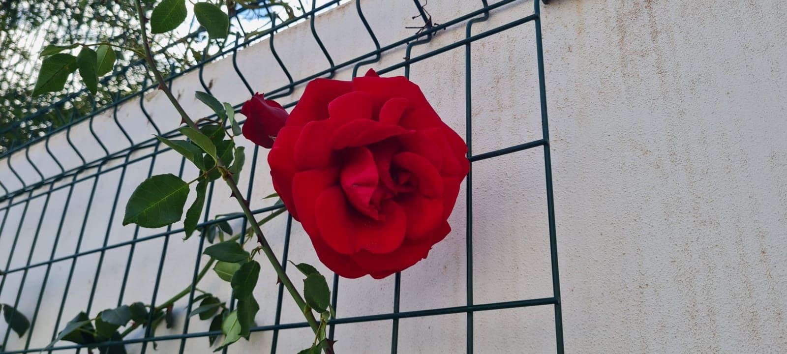 4 soverom Villa til salgs i Estepona med svømmebasseng - € 1 370 000 (Ref: 9705011)