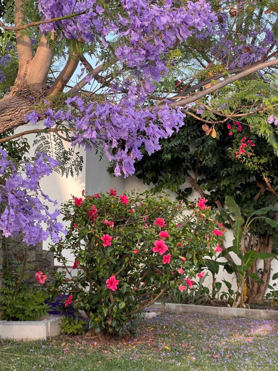 4 soverom Villa til salgs i Estepona med svømmebasseng - € 1 370 000 (Ref: 9705011)