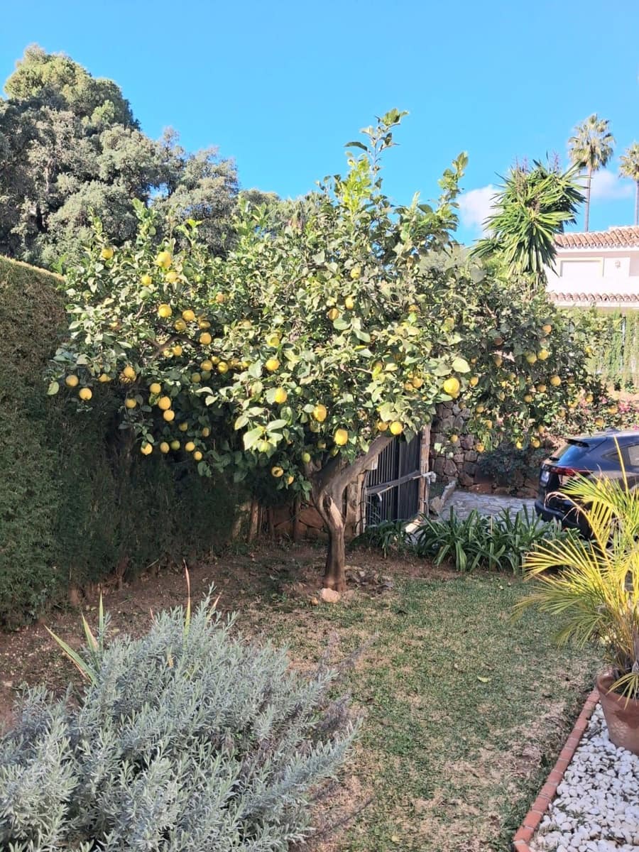 Chalet de 4 habitaciones en Calahonda en venta con piscina garaje - 950.000 € (Ref: 9705104)