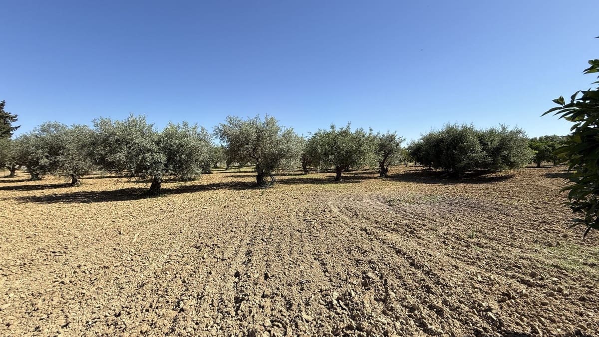 7 soveværelse Finca/Landehus til salg i Alhaurin el Grande med swimmingpool - € 1.200.000 (Ref: 9705113)